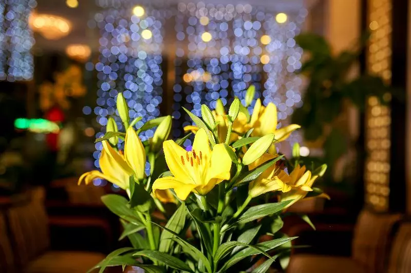 Fotos del hotel Hoang Sa:  20