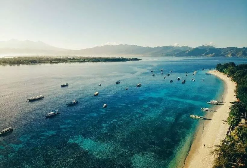 Fotos del hotel Vamana Resort:  9