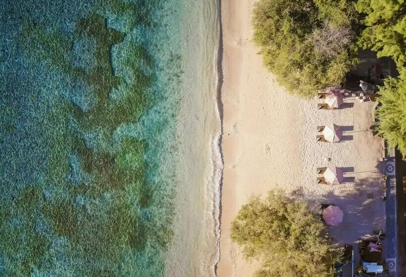 Fotos del hotel Vamana Resort:  17