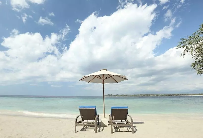 Fotos del hotel Vamana Resort:  13