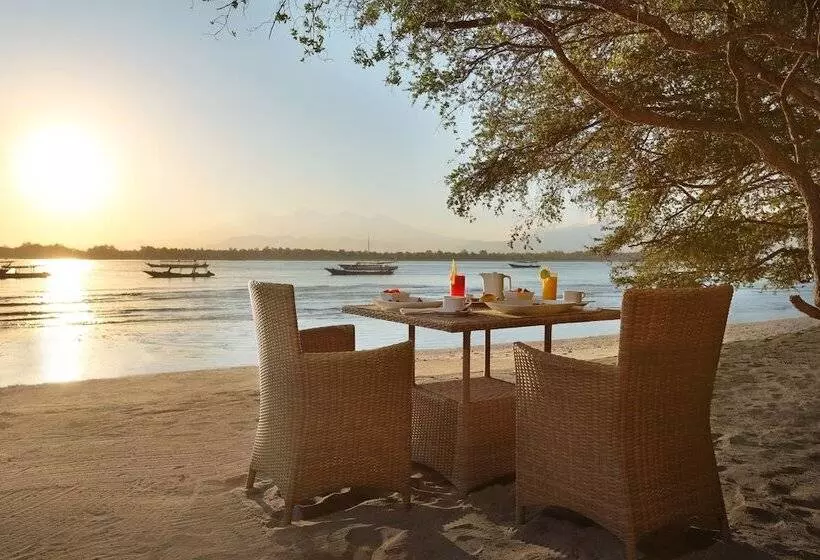 Fotos del hotel Vamana Resort:  19