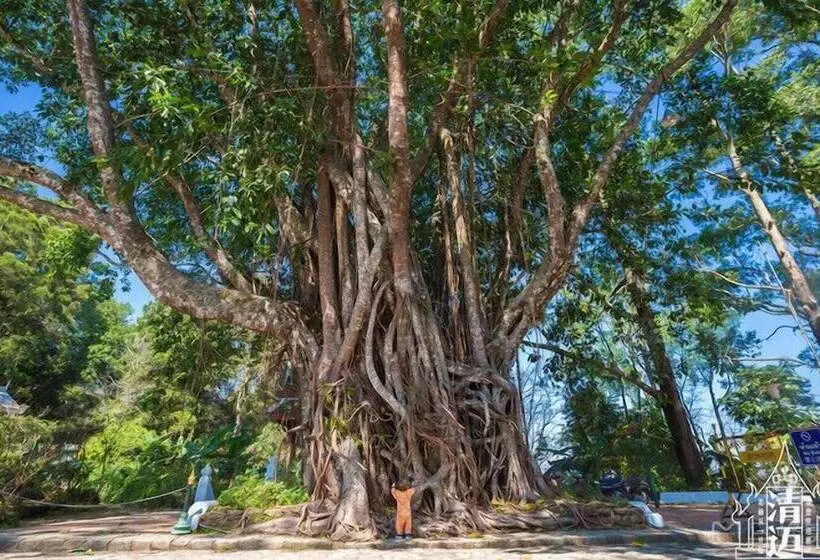 Fotos del hotel Vdara Pool Resort Spa Chiang Mai:  13
