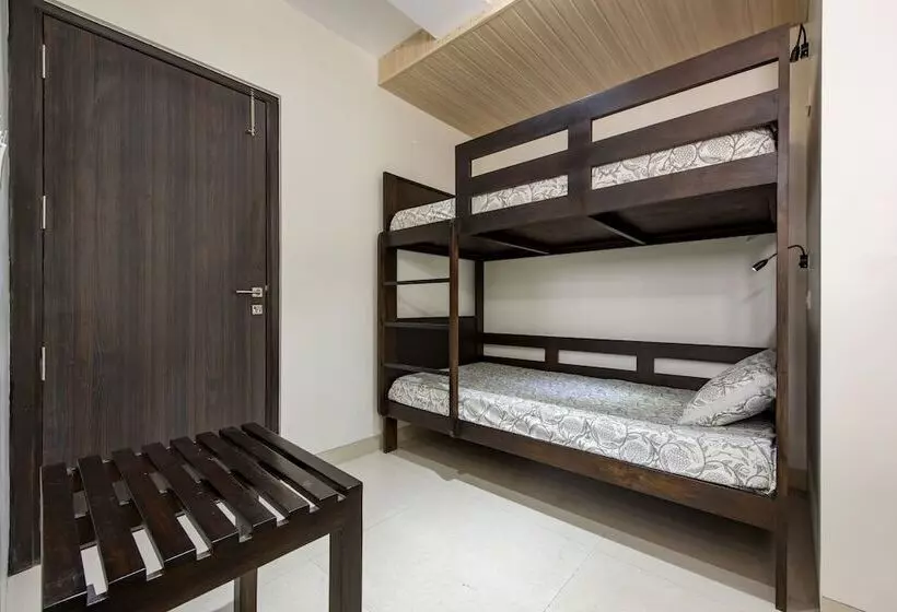 Fotos del hotel House Of Backpackers:  25