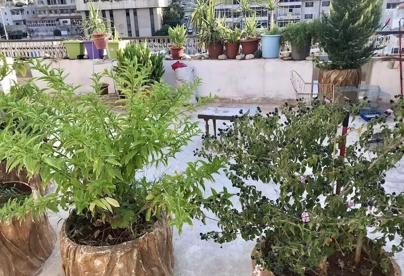 Fotos del hotel Sun Rise  & Hostel & Tours:  12