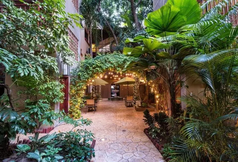 Fotos del hotel Humuya Inn:  24