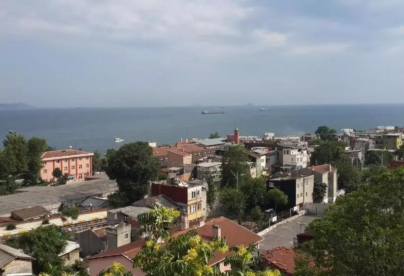 Fotos del hotel Mytra:  4