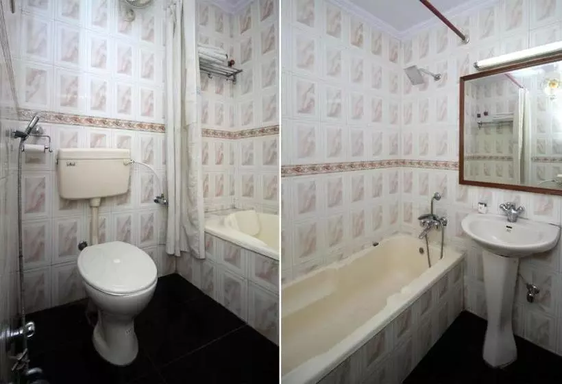 Fotos del hotel Neelam:  4