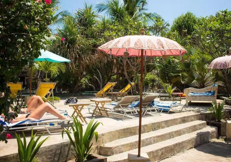 Fotos del hotel Sunrise Resort:  3