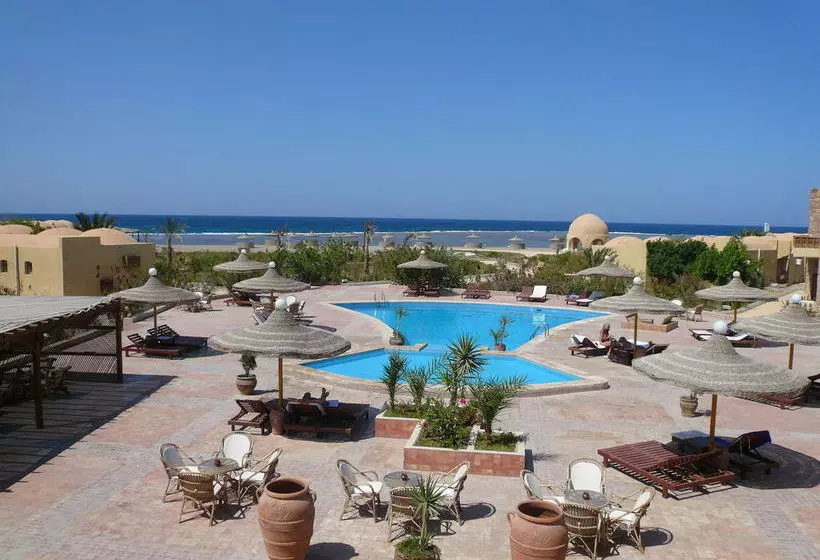 Fotos del hotel Sea Hug Resort:  8