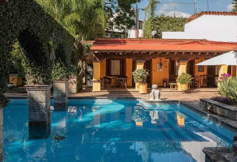 Fotos del hotel La Joyita - Adults Only:  11