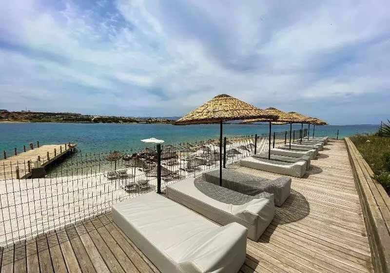 Fotos del hotel Casa De Playa Luxury Hotel And Beach:  8