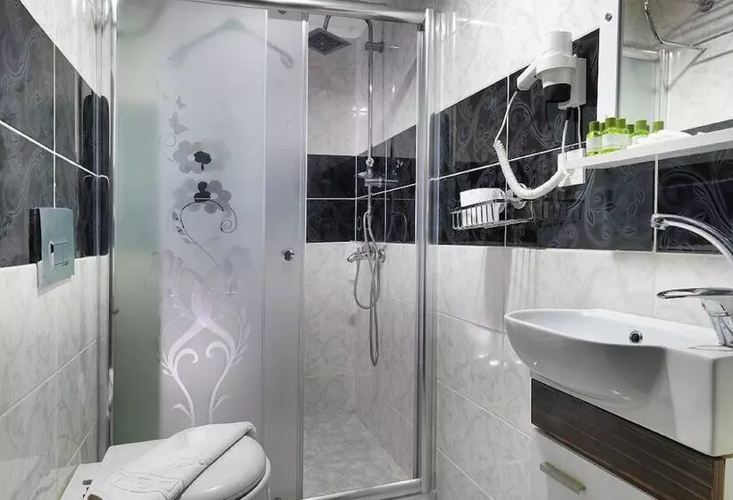 Fotos del hotel Diyar Budget:  6