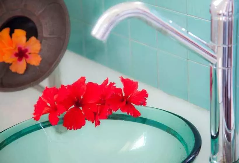 Fotos del hotel Flame Tree Cottages:  10