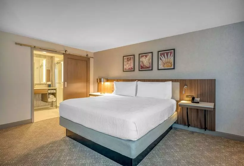 Fotos del hotel Hilton Garden Inn Boston Logan Airport:  19