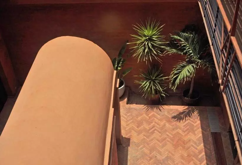 Fotos del hotel Le Djoloff:  23