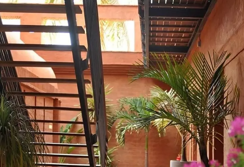 Fotos del hotel Le Djoloff:  21