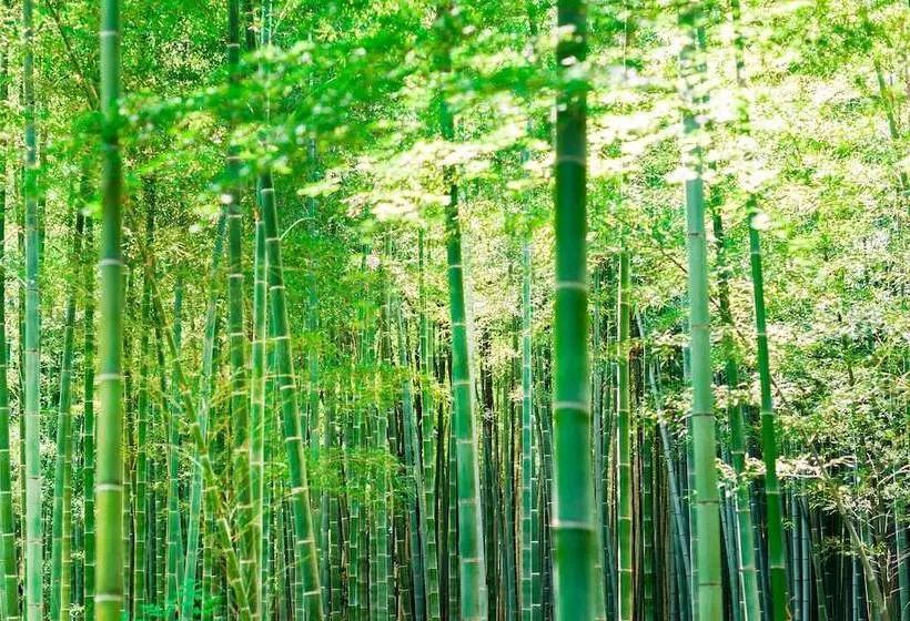 Fotos del hotel Suiran, A Luxury Collection , Kyoto:  8