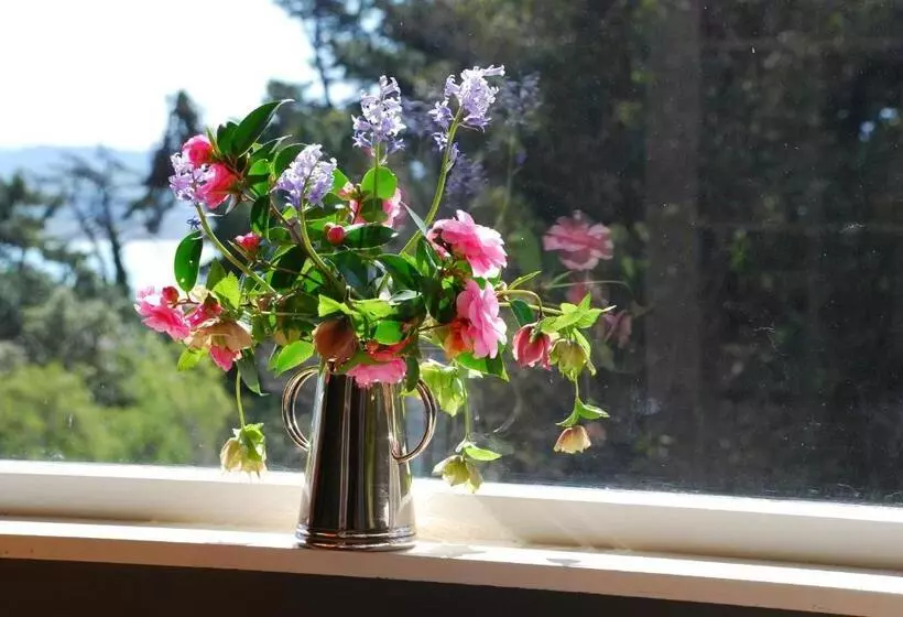 Fotos del hotel Cobden Garden:  11