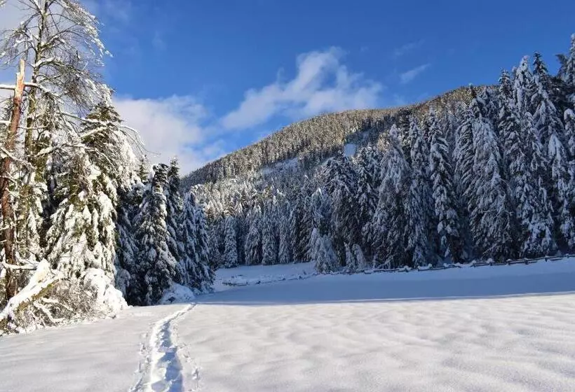 Fotos del hotel Natur Miraval:  8