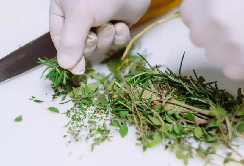 Fotos del hotel Natur Miraval:  4