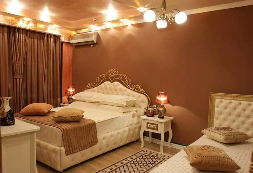 Fotos del hotel Boutique Villa Fernando:  12