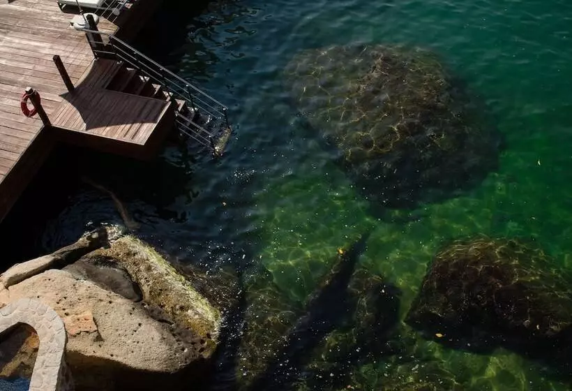 Fotos del hotel B Pichilingue Acapulco:  3