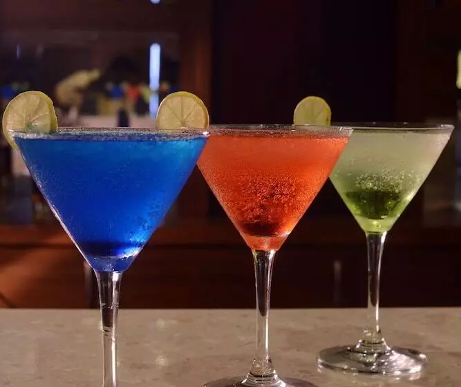 Fotos del hotel Lords Inn Jodhpur:  11