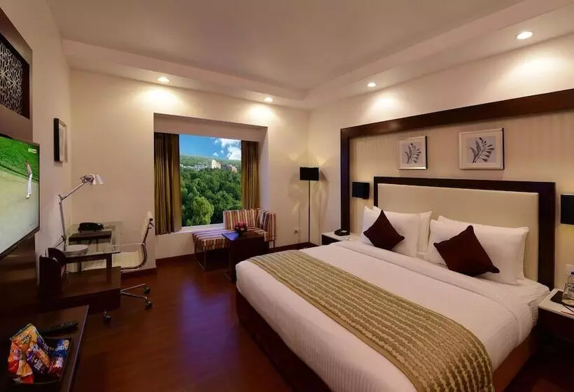 Fotos del hotel Lords Inn Jodhpur:  2