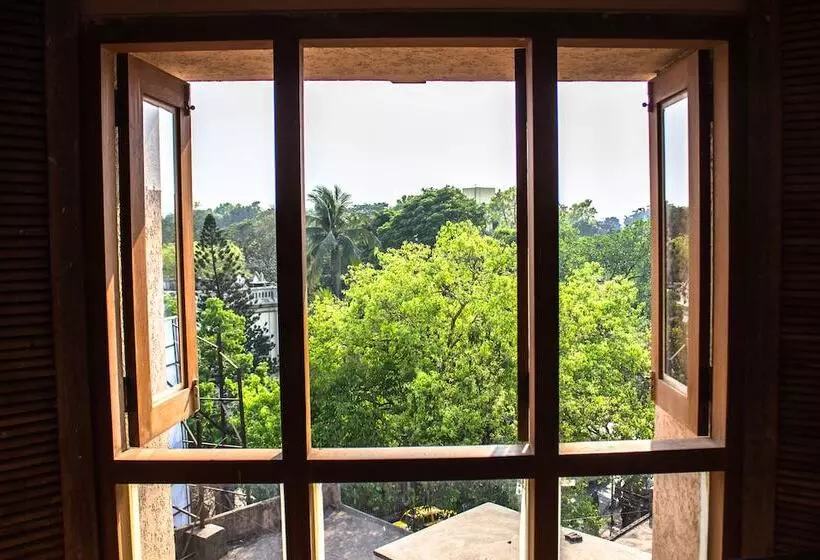 Fotos del hotel Lynq-cico:  8