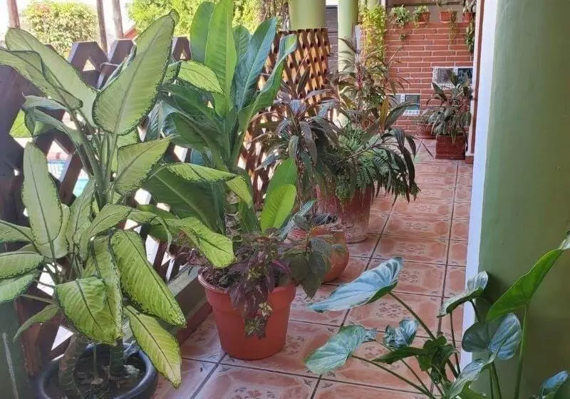 Fotos del hotel Casablanca:  15