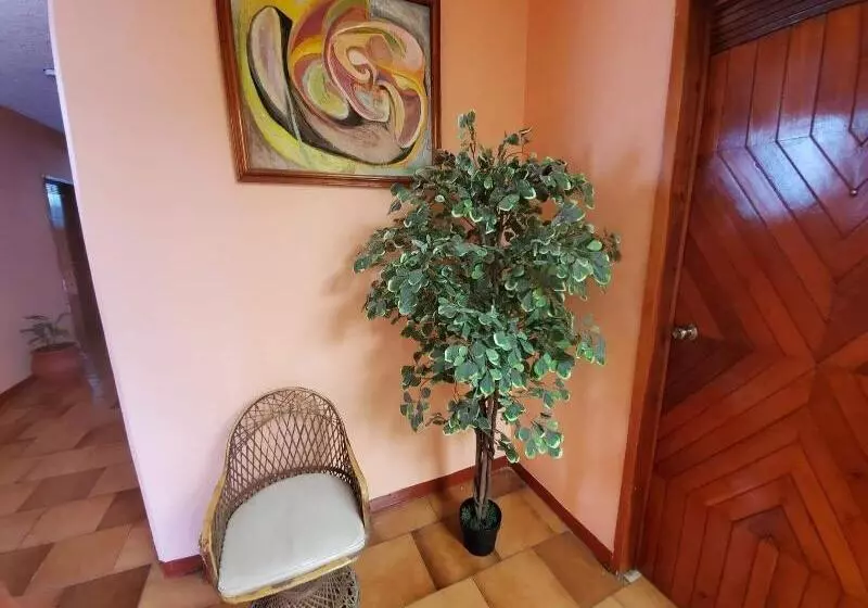 Fotos del hotel Casablanca:  12