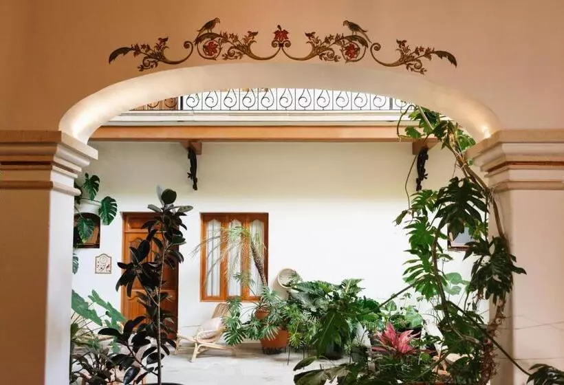 Fotos del hotel Los Pilares:  10