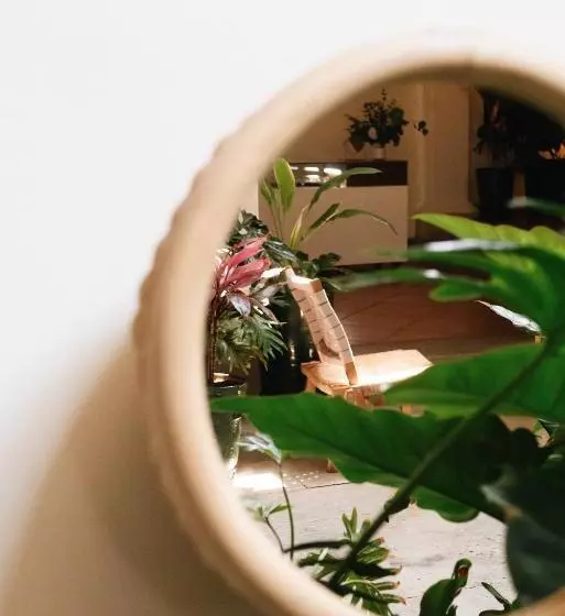 Fotos del hotel Los Pilares:  14