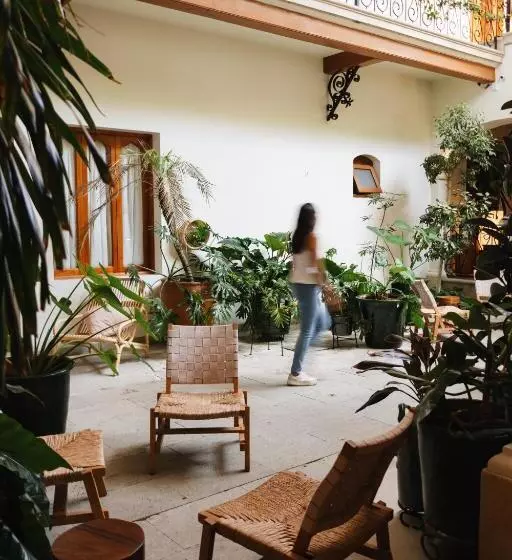 Fotos del hotel Los Pilares:  2