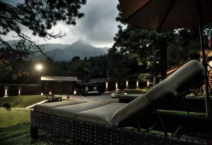 Fotos del hotel Organico Hotel Boutique:  11