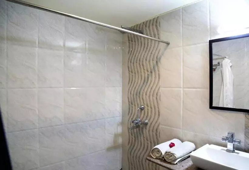 Fotos del hotel Narayans Leela Inn:  9