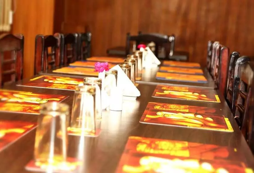 Fotos del hotel Narayans Leela Inn:  8