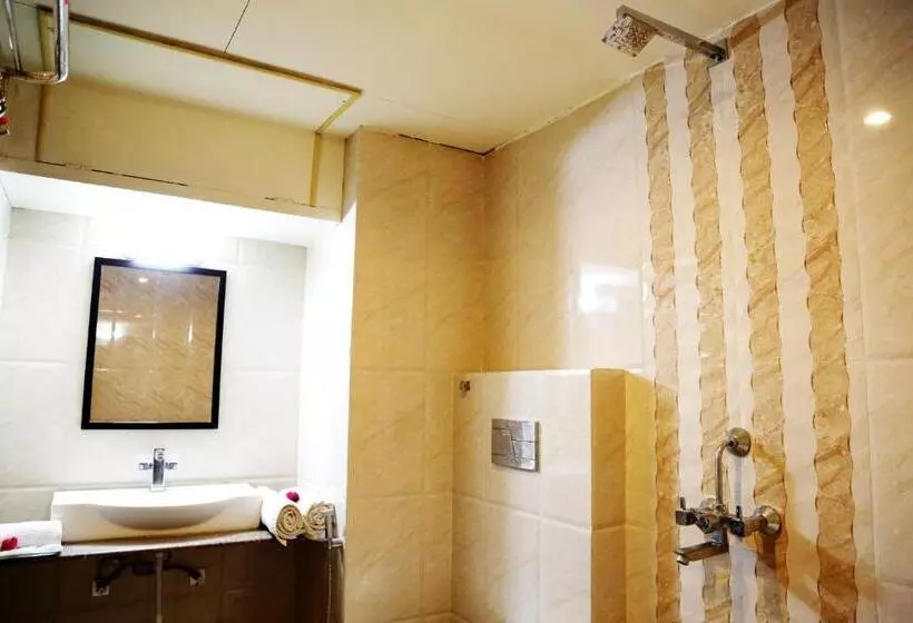 Fotos del hotel Narayans Leela Inn:  20