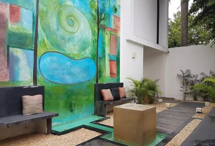 Fotos del hotel Holly:  7