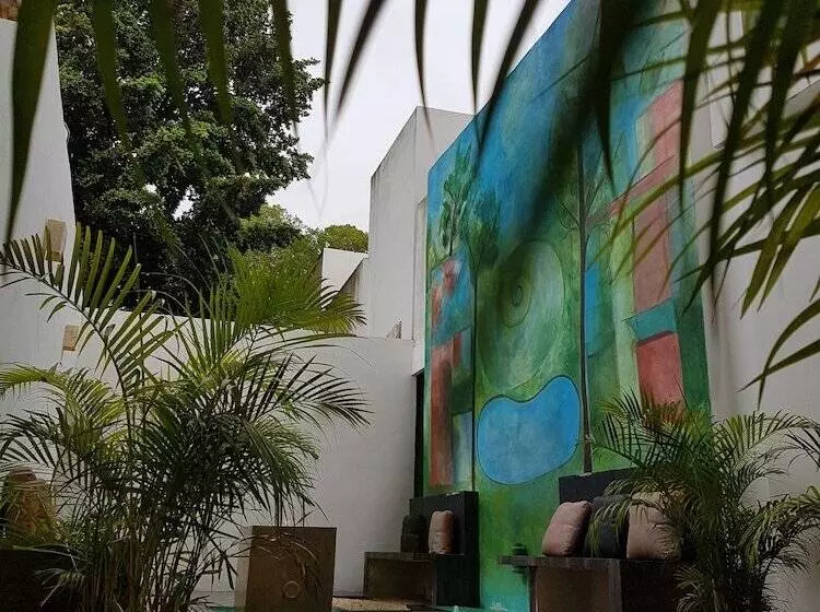 Fotos del hotel Holly:  15