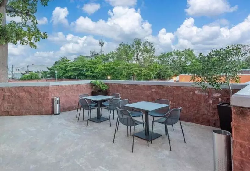 Fotos del hotel City Express Junior Villahermosa:  6