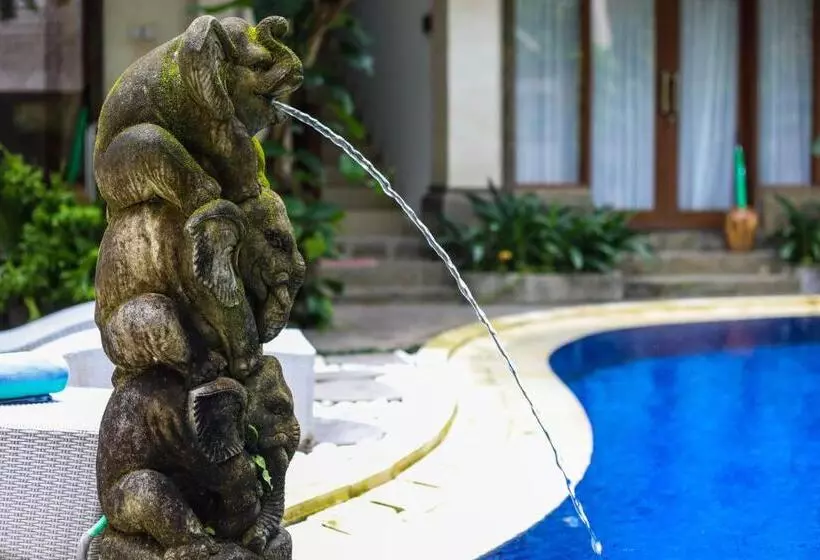 Fotos del hotel Amoya Inn:  18