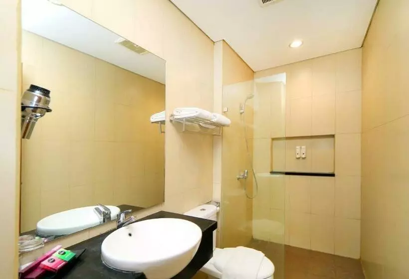 Fotos del hotel Dafam Rio:  6