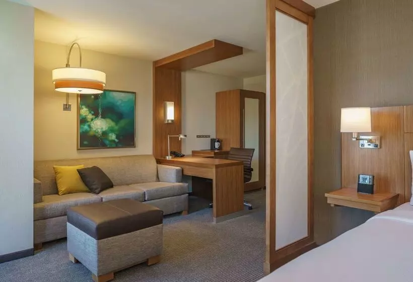 Fotos del hotel Hyatt Place Houston Galleria:  19