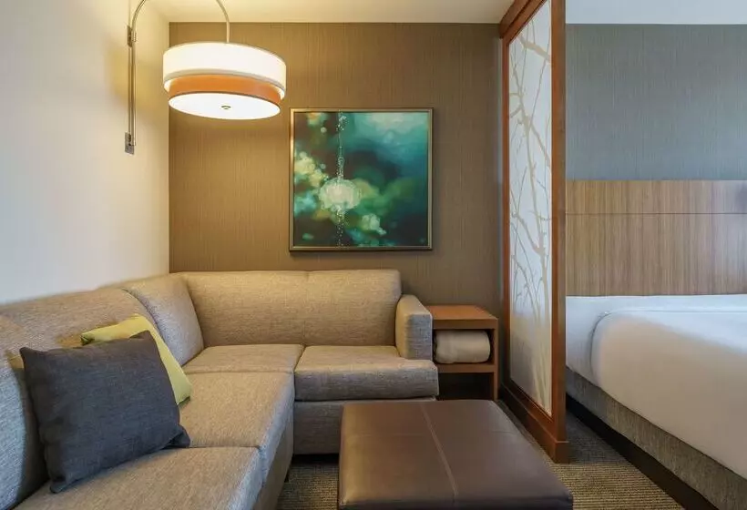 Fotos del hotel Hyatt Place Houston Galleria:  23