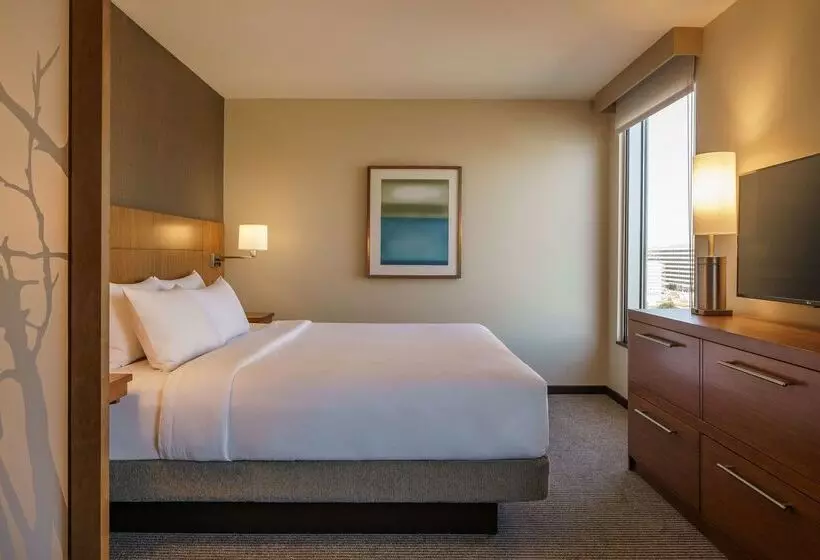 Fotos del hotel Hyatt Place Houston Galleria:  12