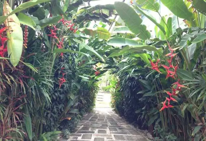 Fotos del hotel Watermill Resort:  5