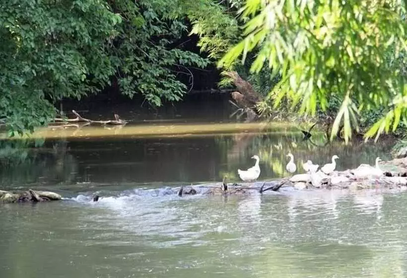 Fotos del hotel Watermill Resort:  10