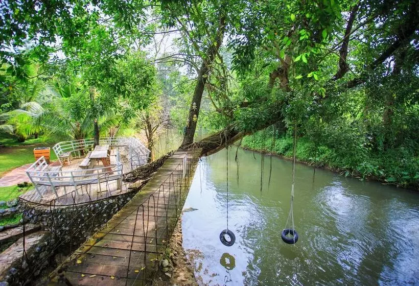 Fotos del hotel Watermill Resort:  23