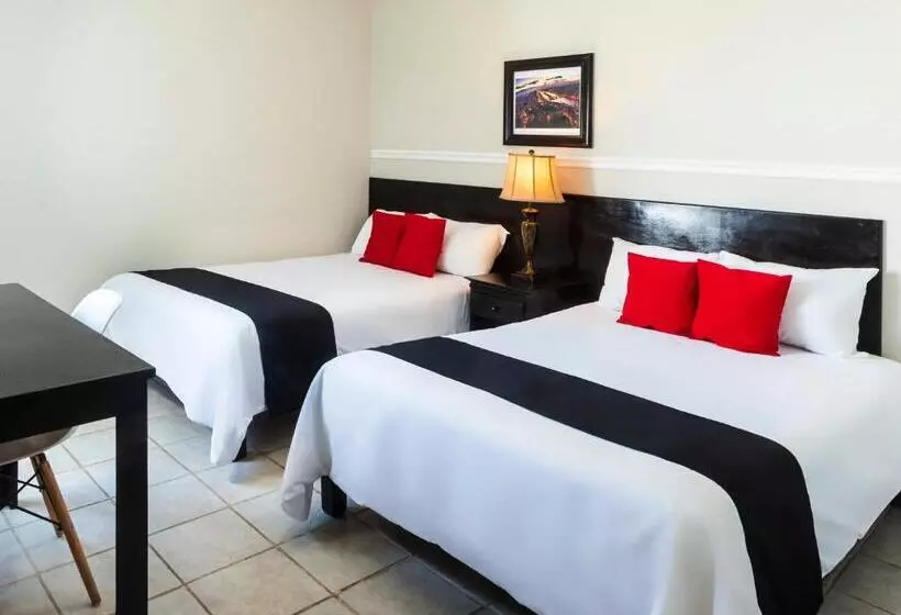 Fotos del hotel Capital O Boca Inn & Suites:  19